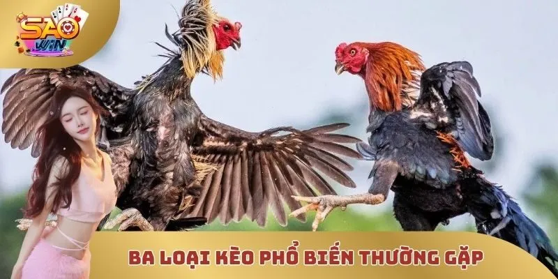 Ba loại kèo phổ biến mà người chơi thường gặp