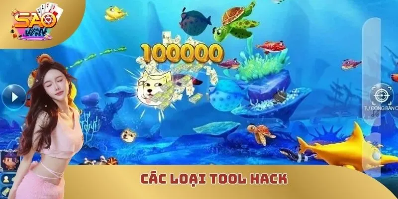 Các loại tool hack