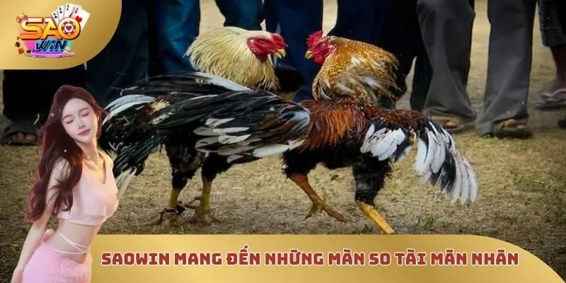 SAOWIN mang đến cho người chơi những màn so tài mãn nhãn